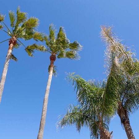 La Rosaleda Villa Denia Ngoại thất bức ảnh